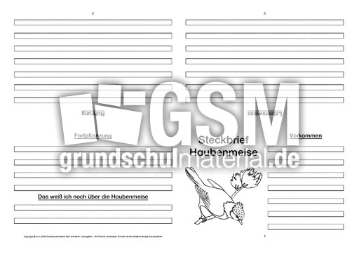Haubenmeise-Faltbuch-vierseitig.pdf